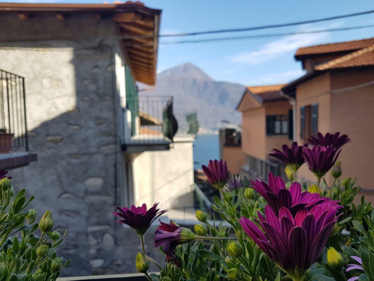 Il Torchio Villa Musso ภายนอก รูปภาพ